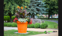 decoration-amenagement-pot-de-fleur-bordj-bou-arreridj-algerie