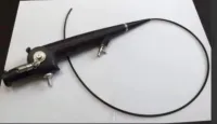 Ureteroscope richard wolf cobra