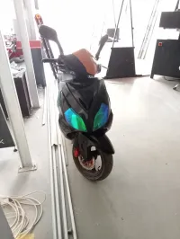 Kogima R6 2014