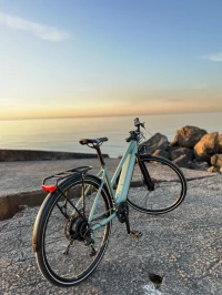 Elops velo electrique elops LD 500 E 