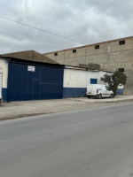 hangar-location-setif-mezloug-algerie