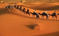 voyage organise taghit benni abbes 