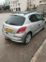 citadine-peugeot-207-2009-allure-chlef-algerie