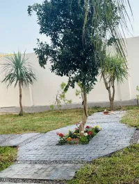 Location vacances Appartement F2 F3 F4 Skikda Filfla