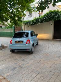 سيارات-fiat-500-2025-cult-mib-المنصورة-تلمسان-الجزائر