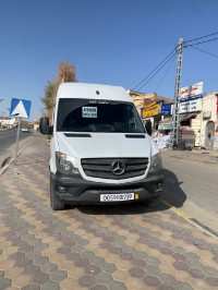 utilitaire-mercedes-sprinter-2017-el-oued-algerie