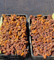 fruits-legumes-دقلة-نور-datte-deglet-nour-2024-megarine-touggourt-algerie