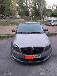 voitures-skoda-fabia-2013-el-biar-alger-algerie