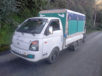 camion-hyundai-h100-2014-tizi-ouzou-algerie