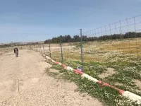 Vente Terrain Alger Tessala el merdja
