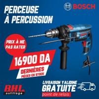 outillage-professionnel-perceuse-a-percussion-blida-algerie