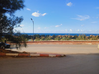 appartement-vente-f4-tipaza-khemisti-algerie