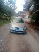 voitures-peugeot-307-2002-tizi-nbechar-setif-algerie