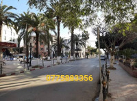 appartement-vente-f3-alger-ain-taya-algerie