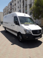 transport-et-demenagement-marchandises-demenagements-نقل-عمومي-للبضائع-والترحيل-belouizdad-alger-algerie