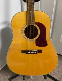 Guitare acoustique George Washburn D-25S