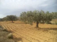Vente Terrain Béjaïa Akbou
