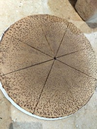 حلويات-crepe-artisanale-croustillantes-تلمسان-الجزائر