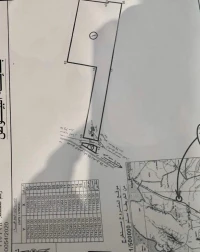 Location Terrain Agricole Naâma Mecheria
