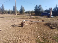 Vente Terrain Agricole Djelfa Ain oussara