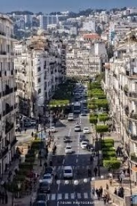 شقة-بحث-عن-شراء-3-غرف-4-5-الجزائر-وسط