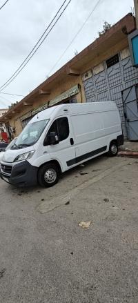 عربة-نقل-fiat-ducato-2017-الشلف-الجزائر