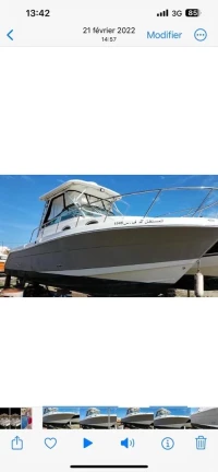Robalo R 305 2012