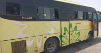 bus-higer-v8-beni-saf-ain-temouchent-algerie