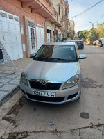 voitures-skoda-fabia-2014-visage-ain-defla-algerie