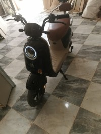 دراجات-نارية-وسكوترات-niu-scooter-2024-الكريمية-الشلف-الجزائر