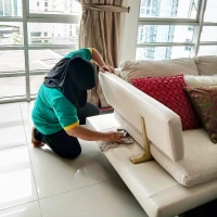 Cleaning service: femme de ménage à domicile, jardinage société de nettoyage, entreprise nettoyage..