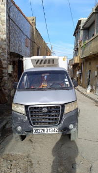 voitures-gonow-camion-frigo-2013-cherchell-tipaza-algerie