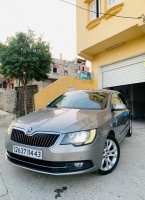 سيدان-كبيرة-skoda-superb-2014-ميلة-الجزائر