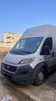 fourgon-fiat-ducato-maxi-2017-rouiba-alger-algerie