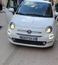 voitures-fiat-500-2024-club-laghouat-algerie