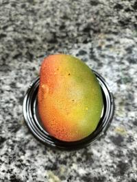 demandes-demploi-patissier-brochard-el-biar-alger-algerie