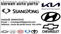 pieces-moteur-des-rechanges-korean-قطع-غيار-السيارات-و-الشاحنات-الكورية-bab-ezzouar-alger-algerie