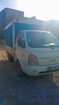 camion-hyundai-2010-grarem-gouga-mila-algerie