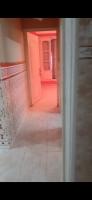 appartement-location-f3-alger-mohammadia-algerie