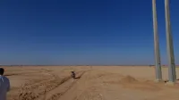 Vente Terrain Agricole Biskra Ain naga