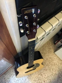 Guitare classique (Jackson) + livre (apprendre la guitare pour les nuls)