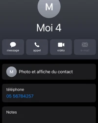 Chien Pékinois caniche Pékinois بيكنوا كانيش كلب