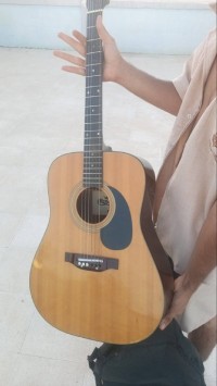 آلات-وترية-guitare-القليعة-تيبازة-الجزائر