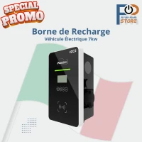 Borne de Recharge de Véhicule Électrique 7kW 