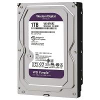 أقراص-صلبة-disque-dur-interne-westerne-digital-purpel-1tb-original-مستغانم-الجزائر