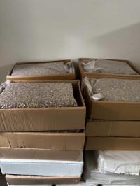 nuts-seeds-بيسطاش-مقشر-دمشق-حلبي-bab-ezzouar-alger-algeria