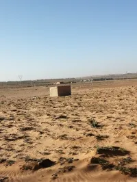 Vente Terrain Agricole Djelfa Ain oussara