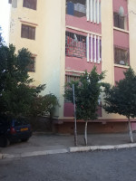 apartment-sell-f3-ain-defla-el-attaf-algeria