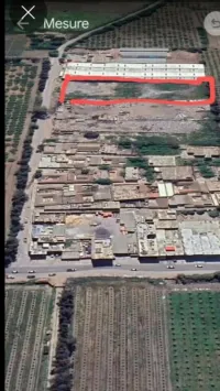 Vente Terrain Alger Ouled fayet