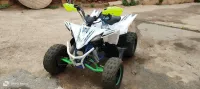 Vms Pentora 2022